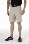 men___s_shorts_4cbaafa274be3.jpg